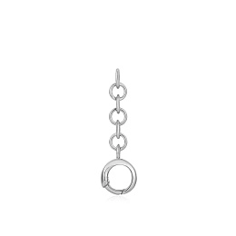 Ania Haie Արծաթյա Չարմ/ CC048-01H