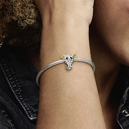 PANDORA Disney Արծաթյա Չարմ/ 799398C01