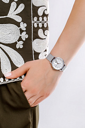 Skagen  Женские  Наручные часы/ SKW3100