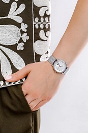 Skagen  Ladies  Wristwatch/ SKW3100