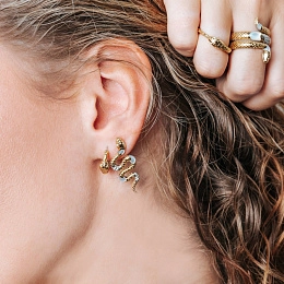 Ti Sento Արծաթյա Ականջօղ/ 7827MW