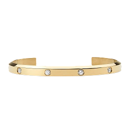 Daniel Wellington Թևնոց/ DW00401743