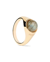 PDPAOLA 18K Gold Plated Silver Ring/ AN01-B18-14