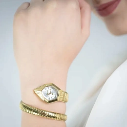 Just Cavalli Ladies Quartz Wristwatch/ JC1L358M0035