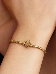 Pandora Moments 14K Ոսկեպատ Չարմ/ 764358C00