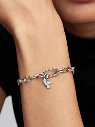 Pandora Me Արծաթյա Չարմ/ 794566C01
