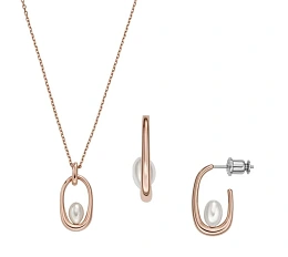Skagen Necklace and Earring Set