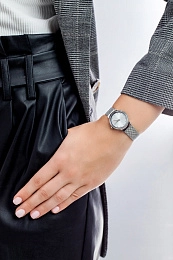 Skagen  Женские  Наручные часы/ SKW2715