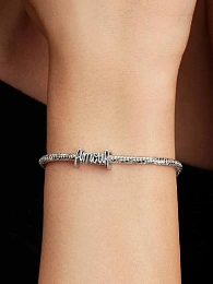 Pandora Moments Արծաթյա Չարմ/ 794426C00