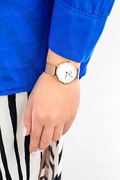 Daniel Wellington  Կանացի  Ժամացույց/ DW00100163