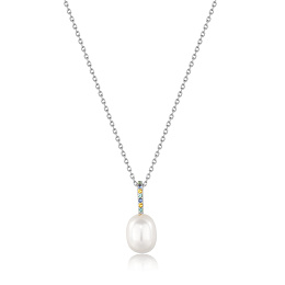 Ania Haie Silver Necklace/ N054-01H