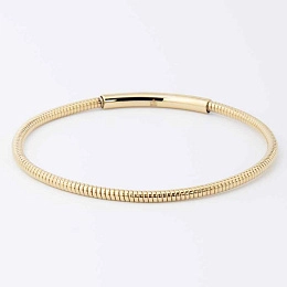 Zag Bijoux 24K Gold Plated Stainless Steel Surgical Bracelet/ SBJ22104-01UNI3