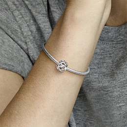 PANDORA Moments Silver Charm/ 791872