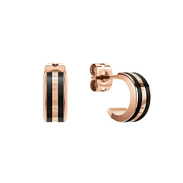 Daniel Wellington Ականջօղ/ DW00400310
