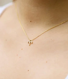 Zag Bijoux Ожерелье / Овен / SNS19844-01WHT