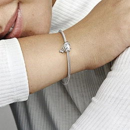 PANDORA Moments Արծաթյա Չարմ/ 792254C01
