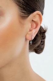 Ania Haie Серебряные Серьги/ E032-04H