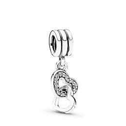 PANDORA Moments Արծաթյա Չարմ/ 791242CZ