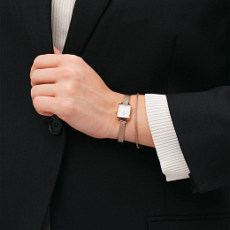 Daniel Wellington Թևնոց/ DW00400673