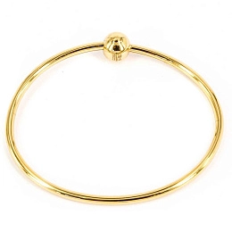 Zag Bijoux 24K Gold Plated Stainless Steel Surgical Bracelet/ SBJ7040-01UNI