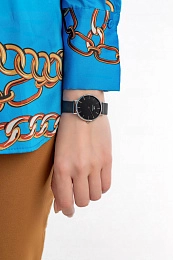 Daniel Wellington  Женские  Наручные часы/ DW00100202