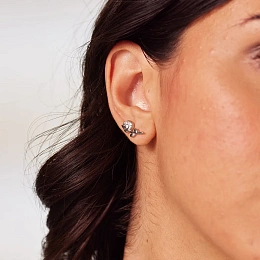 Brosway Ականջօղ/ BHKE198