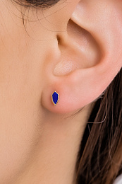 Ania Haie 14K Gold Plated Silver Earring/ E042-01G-L
