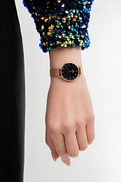 Daniel Wellington  Ladies  Wristwatch/ DW00100217