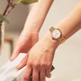 Citizen  Женские Наручные часы Eco-drive/ EM1073-85Y