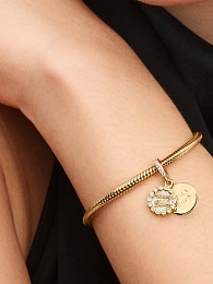 PANDORA 14K Gold Plated Charm/763787C01