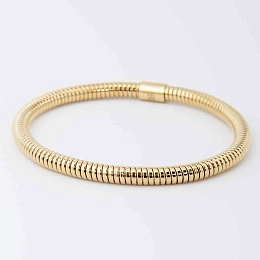 Zag Bijoux 24K Gold Plated Stainless Steel Surgical Bracelet/ SBJ22104-01UNI5