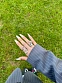 thumb