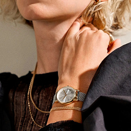 Skagen  Ladies  Wristwatch/ SKW3153SET