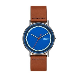 Skagen  Men's  Wristwatch/ SKW6899