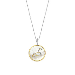 Ti Sento 14K Gold Plated Silver Necklace/ 6826LE