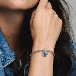 PANDORA Moments Արծաթյա Չարմ/ 792698C01