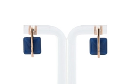 Skagen Ականջօղ/ SKJ1136791