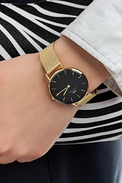 Daniel Wellington  Կանացի  Ժամացույց/ DW00100347