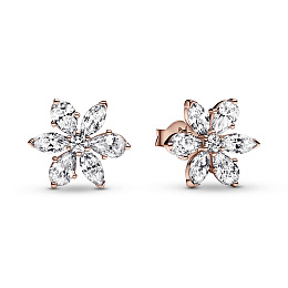 PANDORA Timeless 14K Ոսկեպատ Արծաթյա Ականջօղ/ 282407C01