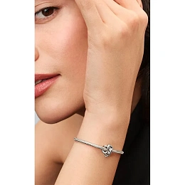 PANDORA Moments Silver Charm/793755C00