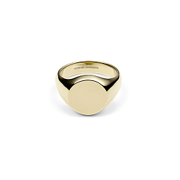 Daniel Wellington Gold PVD Ring/DW00401175