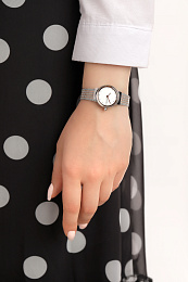 Skagen  Женские  Наручные часы/ SKW2699