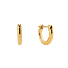 Daniel Wellington Ականջօղ/ DW00401946