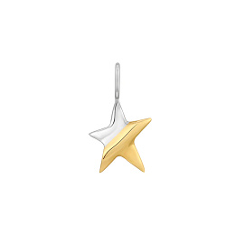 Ania Haie 14K Ոսկեպատ Արծաթյա Չարմ/ NC048-07T