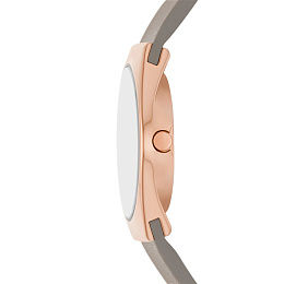 Skagen  Ladies  Wristwatch/ SKW3079