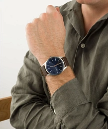 Skagen  Мужские  Наручные часы/ SKW6846