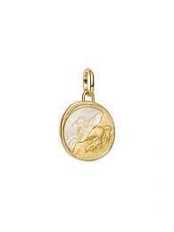 Pandora Talisman 14K Gold Plated Silver Charm/ 764090C01