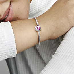 PANDORA Moments Արծաթյա Չարմ/ 790772C01