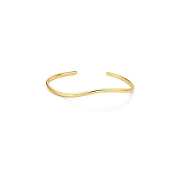 Ania Haie 14K Gold Plated Silver Bracelet/B072-03G