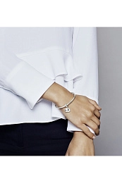 PANDORA Moments Silver Charm/ 798012FPC